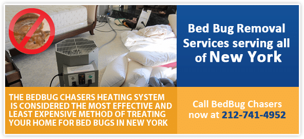 Cool image about Bed Bugs in Manhattan NY - it is cool