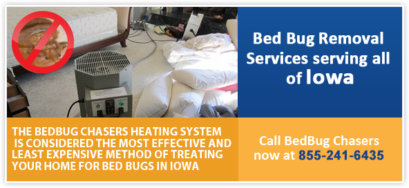 pictures of bed bug, bed bug photo, bed bug egg pictures, bed bug heat treatment iowa