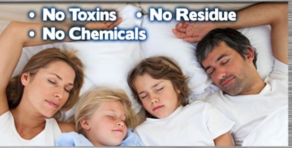 Non-toxic Bed Bug treatment CT, bugs in bed CT, kill Bed Bugs CT, Bed Bug Spray CT