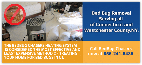 Bed Bug Heat Treatment Fairfield County Connecticut, kill bed bugs Fairfield County CT 