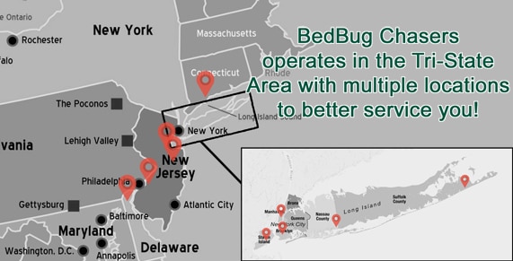 get rid of bed bugs LI, bed bugs Long Island, kill bed bugs Long Island, bed bug heat Long Island, bed bugs treatment Long Island, bed bug spray Long Island, bed bug bites Long Island