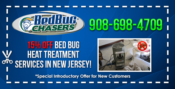 Best Treatment for Bed Bugs in Camden County, NJ - BedBug  