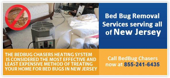 Bed Bug Heat Treatment NJ North & Central Jersey