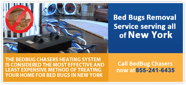 Bed Bug Heat Treatment Services NY NJ NYC Manhattan Brooklyn Staten Island Queens Long Island City Bronx Westchester Rockland Staten Island NY