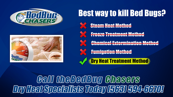 Bed Bug pictures IA IL, Bed Bug treatment IA IL, Bed Bug heat IA IL