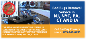 bed bug treatments - BedBug Chasers