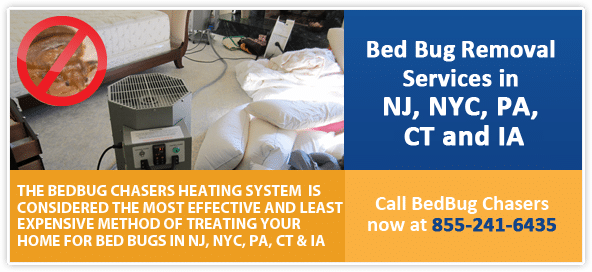 #1 Bed Bug Heat Treatment Services by BedBug Chasers