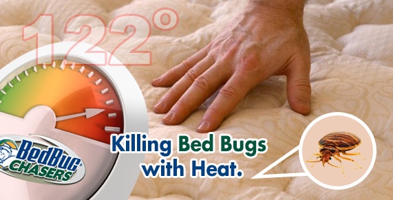 BedBug Chasers | Bed Bug Heat Treatment | Killing Bed Bugs  