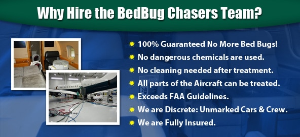 BedBug Chasers is there to solve your aircraft bed bug problems in Delaware